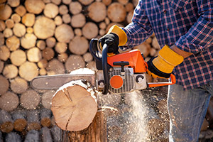 Coupon corso addestramento attrezzature di lavoro: motosega